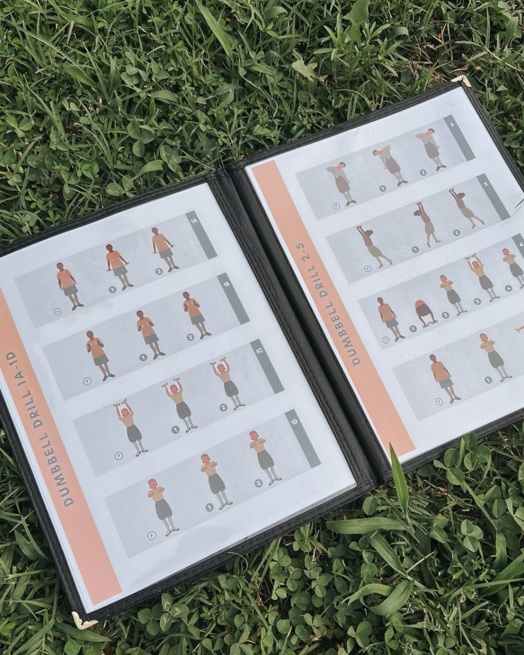 Musical Dumbbell Drill