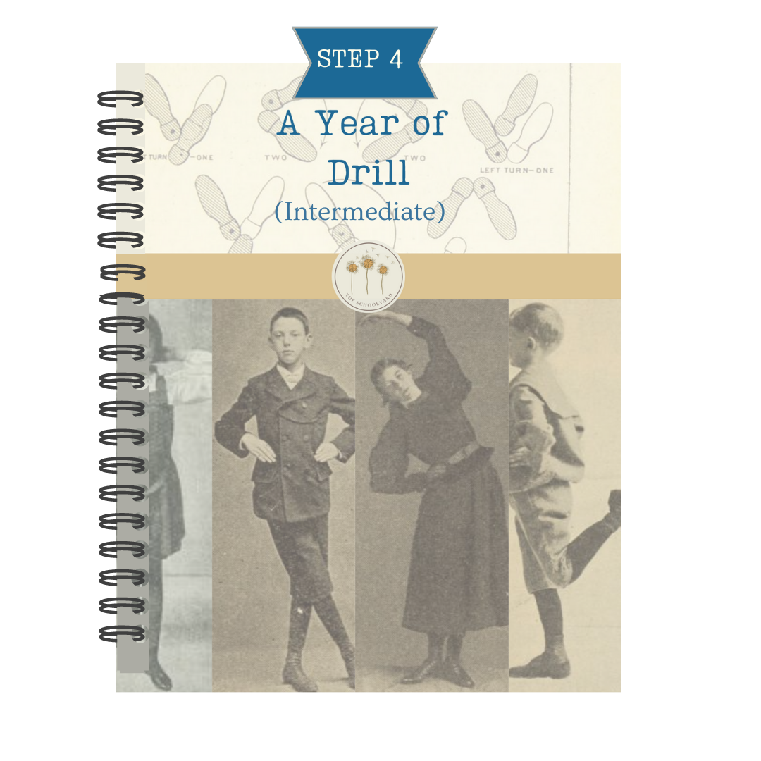 A Year of Swedish Drill (Intermediate)