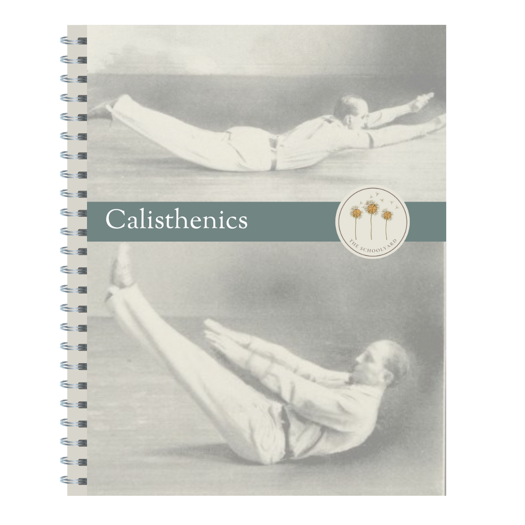 Calisthenics