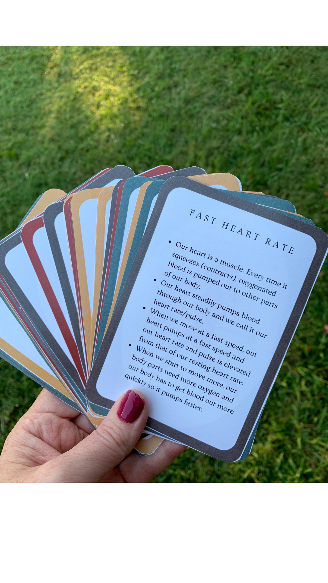 Skill Progression Cards for Fundamental Movements